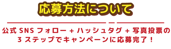 応募方法について